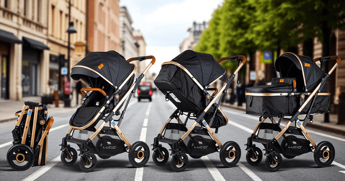 paner-Photoroom (2) (1)