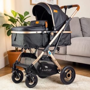 Home 2024 05 21 img 0371 10 (1) (1)